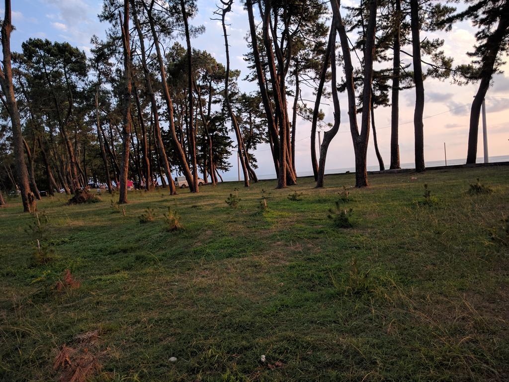 Kobuleti Pines Resort Екстериор снимка